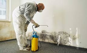 Best Residential Mold Inspection & Testing  in USA